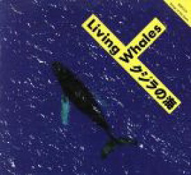【中古】 クジラの海－LIVING　WHALES－／鈴木茂