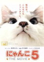 【中古】 にゃんこ　THE　MOVIE　5 ／（趣味／教養）,長澤まさみ（ナレーション）,森英治（音楽） 【中古】afb ランキングお取り寄せ