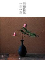 【中古】 川瀬敏郎　一日一花／川瀬敏郎(著者)