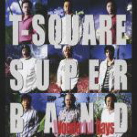 【中古】 Wonderful　Days／T－SQUARE　SUPER　BAND,田中豊雪（el－b）,宮崎隆睦（ss、as、ts）,河野啓三（ac－p、key、el－p、prog）,坂東慧（ds、key、per、prog）,伊東たけし（as、e