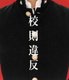 楽天市場 マニ ラバの通販