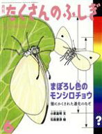 【中古】 月刊たくさんのふしぎ(6　2020年6月号) 月刊誌／福音館書店
