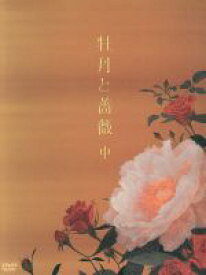 楽天市場 大河内奈々子 姉の通販
