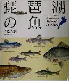 【中古】 琵琶湖の魚／今森洋輔(著者)