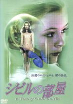 楽天市場】シビルの部屋（CD・DVD）の通販 