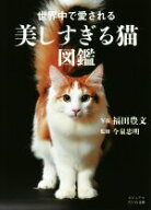 【中古】 世界中で愛される美しすぎる猫図鑑 ビジュアルだいわ文庫／今泉忠明(監修),福田豊文(写真家)
