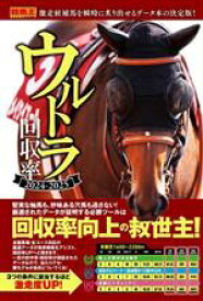 【中古】 ウルトラ回収率(2024−2025) 競馬王馬券攻略本シリーズ／競馬王データ特捜班(編者),伊吹雅也(監修)