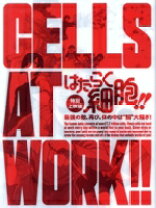 楽天市場】はたらく細胞 blu-rayの通販 