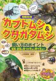 カブトムシ＆クワガタムシ飼い方のポイント　幼虫・成虫の見つけ方から育て方まで