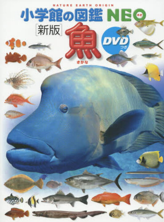 楽天市場】【 小学館の図鑑 NEO 〔新版〕 魚 DVDつき 】 ずかん NEO 