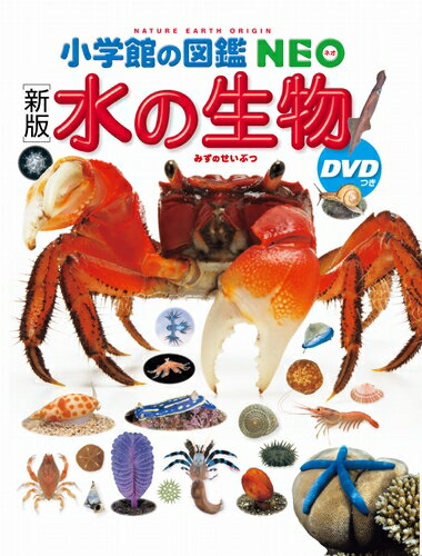 図鑑neo｜子供が喜ぶ！人気の恐竜や鉄道などおすすめの小学館図鑑ネオは？