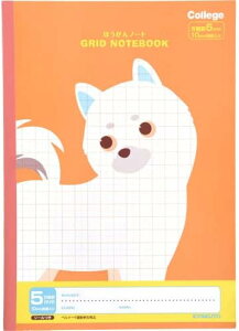 {m[g LNgE JbWAj}wK m[g LT01OR Z~B5 30 IW 5mmr 10mm S[_[r wK v[g Mtg w  LOi AE a ̓ 