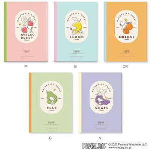 iJoV XCOEWJm[g Z~B5 Ar 7mmr 30s 30×5 Xk[s[ sAt[cV[Y NCB515A-5P ԂwNX{ Mtg v[g w AE LOi