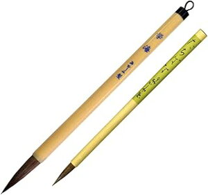  pʕM 2{g ALS-01-P M{M rєnь K KwK SҌ { Mtg v[g