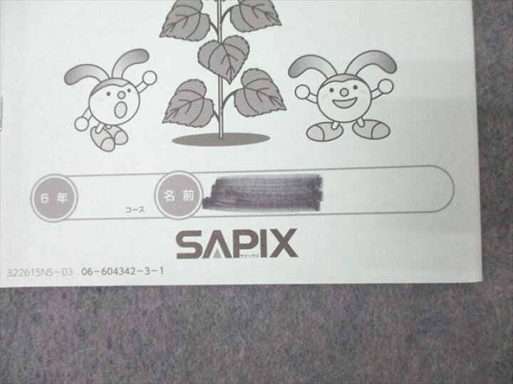楽天市場】SAPIX サピックス 小学6年 理科 夏期集中 志望校錬成特訓 NS 