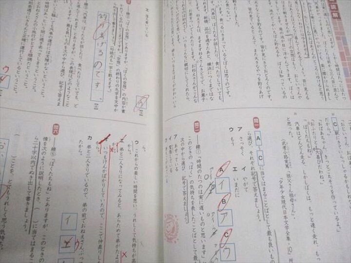 楽天市場】WH11-154 SAPIX サピックス 小5 国語 コアマスター 第1〜48 