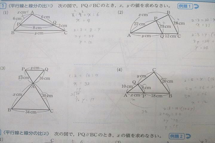 楽天市場】PASTEM パステム/指導書 国語/英語/数学/理科/社会 高校受験 