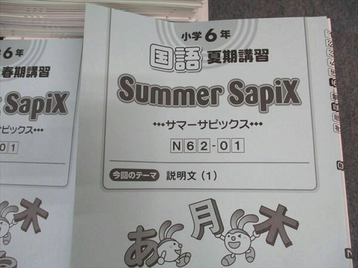楽天市場】SAPIX 小6年 国語 デイリー/トレーニング/スプリング/サマー 