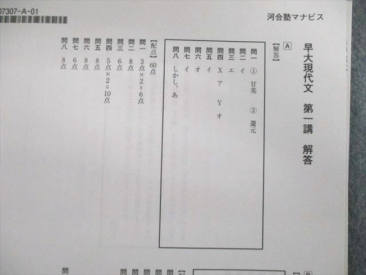 楽天市場】河合塾マナビス 早大現代文/漢文/古文/研究 テキスト通年 