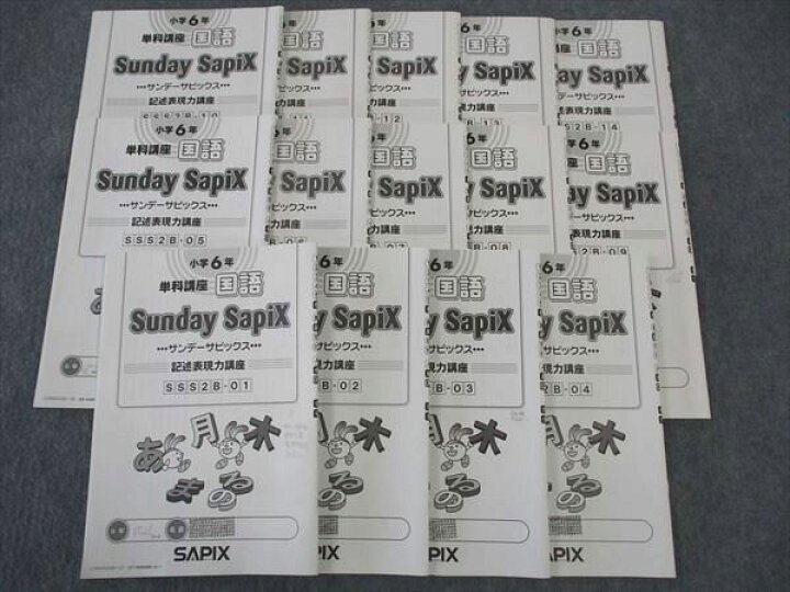 楽天市場】SAPIX サンデーサピックス 国語 単科講座 記述表現力講座 SS 