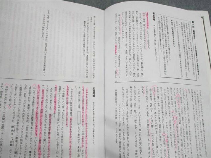 楽天市場】日能研 小5 選抜 目指せ開成桜蔭！特訓講座 第1〜5回 国語 