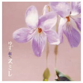 【中古】スミレ