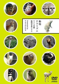 【中古】動物チラリズム -カメラ目線動物写真DVD- [DVD]