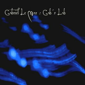 【中古】Gab's Lab [Audio CD] Le Mar Gabriel