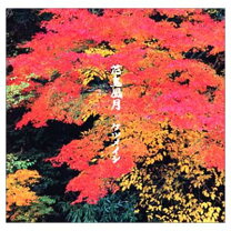 楽天市場】志水ゆき 花鳥風月（CD・DVD）の通販