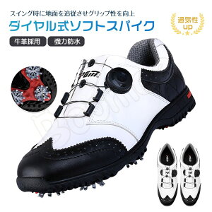 yyVVbvEIuEUE}X2022N2xSt W ܁zStV[Y _C \tgXpCN {v v ͖h Y StC XpCN Xj[J[ h StX