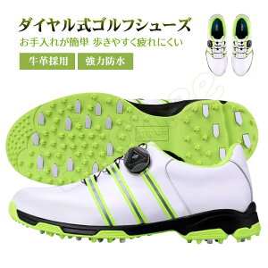 yyVVbvEIuEUE}X2022N2xSt W ܁zStV[Y _C XpCNX {v v ͖h Y StC XpCN Xj[J[ h StXj