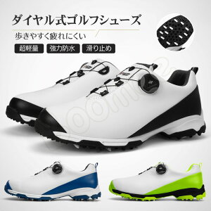 yyVVbvEIuEUE}X2022N2xSt W ܁zStV[Y _C XpCNX ͖h Y StC XpCN Xj[J[  h StXj