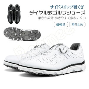 yyVVbvEIuEUE}X2022N2xSt W ܁zStV[Y _C XpCNX ʋC Y StC XpCN Xj[J[  StXj[J[ X