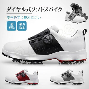 yyVVbvEIuEUE}X2022N2xSt W ܁zStV[Y _C XpCNX ͖h Y StC XpCN Xj[J[  h StXj