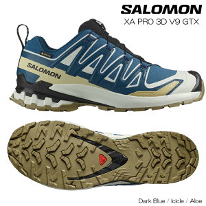 SALOMON T XA PRO GbNXG[ 3D V9 GORE-TEX Y WMO gC jO gbLO V[Y SAebNX Dark Blue / Icicle / Aloe