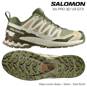 y|Cg5{}\zT Y WMO gC jO gbLO oR R C SAebNX V[Y SALOMON XA PRO 3D V9 GORE-TEX