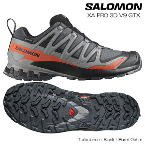 SALOMON T XA PRO GbNXG[ 3D V9 GORE-TEX Y WMO gC jO gbLO V[Y SAebNX L47817500