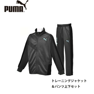 y|Cg10{10/11-13BoomӍՁzZ[ 100cm̂ v[} PUMA WjA g[jOEFA㉺Zbg LbY W[W ㉺Zbg 591875 08