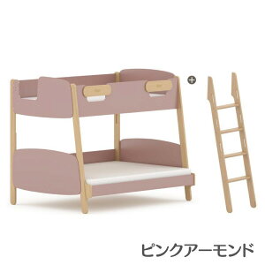 yzBoori Ao 2ixbh ͂ t 2Nۏ ̂ dl ؐ VOxbh 2 \ RpNg  Vv 6 ` l܂ g qp lp xbh 