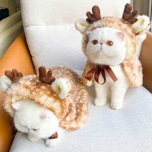 ybg NX}X ybgpi ybgpnbg hbOEFA LbgEFA giJC ϑ }g t[h NX}Xߑ lR L  Ck ^ ybgp nbg giJCߑ 