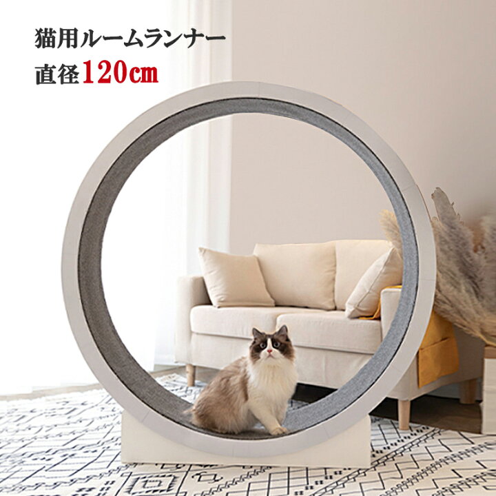楽天市場】【6H限定 30%OFFクーポン】 キャットホイール ネコ専用 