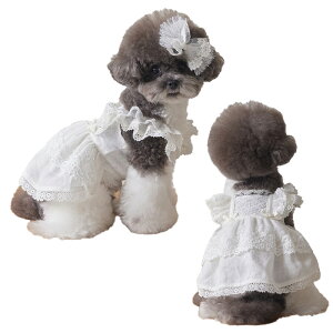 ybgm L  25NV ybg vZX s[X XJ[g  g ̕ ^ ^ }`[Y t    킢 ₷ Z[ ̎q 