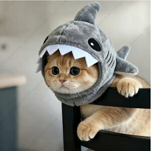 �� �X�q ���̖X�q �L �L�p ���� �L���b�v ��蕨 �~ ������� �ӂ���� �{�A �L���b�v �A�W���X�^�[�t �h�b�O�E�F�A ���U�� ���o���� �J���C�C ���^���p ���� ���� ���Ԃ���� �j�b�g�g�C�v