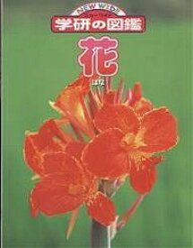 楽天市場 子供 花 図鑑の通販