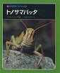 トノサマバッタ 新装版／佐藤有恒／小田英智【3000円以上送料無料】