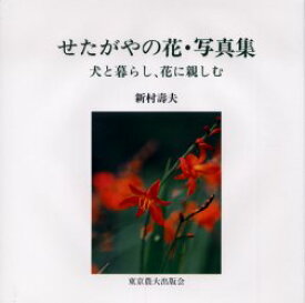楽天市場 花 写真集の通販