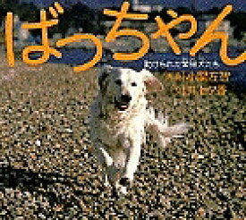 楽天市場 犬 写真絵本の通販
