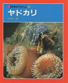 【3千円以上送料無料】ヤドカリ 新装版／川嶋一成
