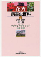 【3千円以上送料無料】原色花卉病害虫百科 6／農山漁村文化協会