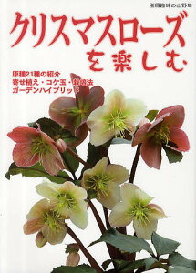 クリスマスローズ 種の人気商品 通販 価格比較 価格 Com